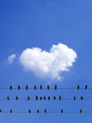 MINIMALISMO PASSAROS CÉU NUVEM DE CORAÇÃO