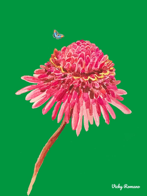 FLOR BOTÂNICA TROPICAL