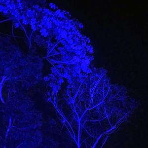 AZUL NOITE
