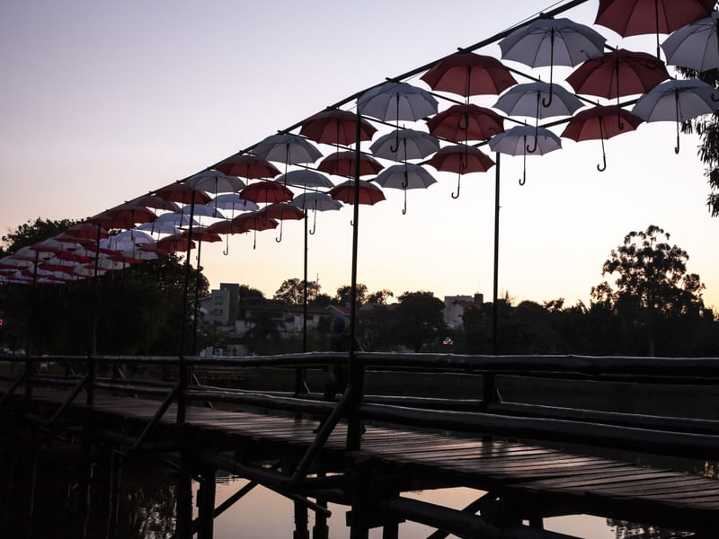 A PONTE DE GUARDA-CHUVAS