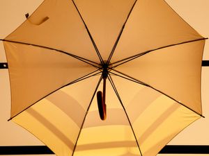 O GUARDA CHUVA LARANJA