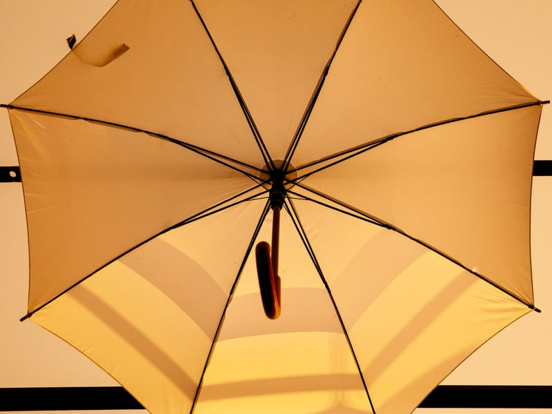 O GUARDA CHUVA LARANJA