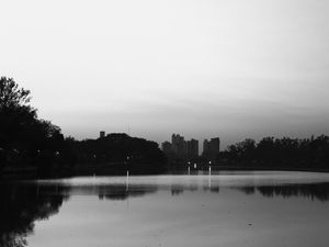 PAISAGEM DO LAGO IGAPO P&B