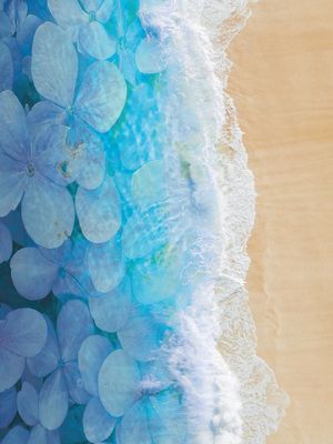 FLORES NO OCEANO