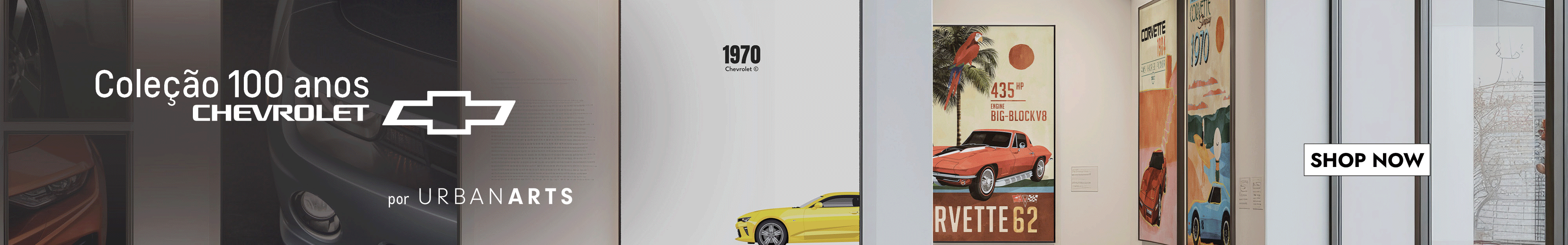 Coleção Quadros Chevrolet